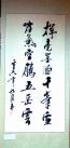 二等獎(jiǎng):(作者：楊軍國    所在單位：第一工程處    主題：揮毫)